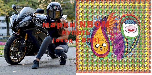 МДПВ Инсар