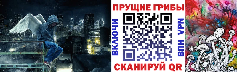 Купить закладки  Борисоглебск  Псилоцибиновые грибы Psilocybine cubensis 